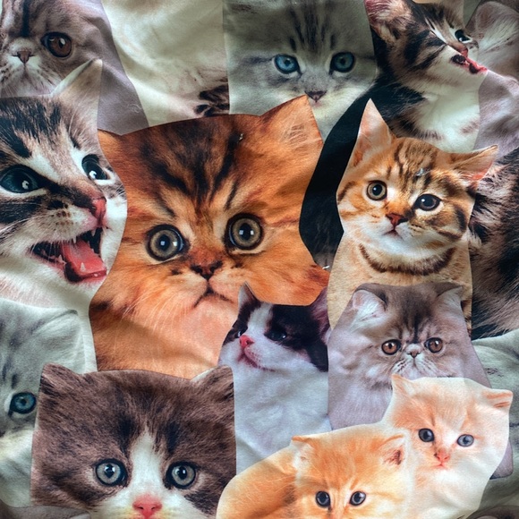 Fun cat swim shorts. Size XL. NWT - Picture 2 of 3